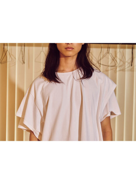 PRE_LAYERED SS T WT-10-a