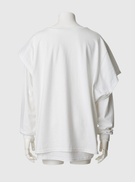 PRE_LAYERED LS T WT C
